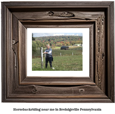 horseback riding near me in Breinigsville, Pennsylvania